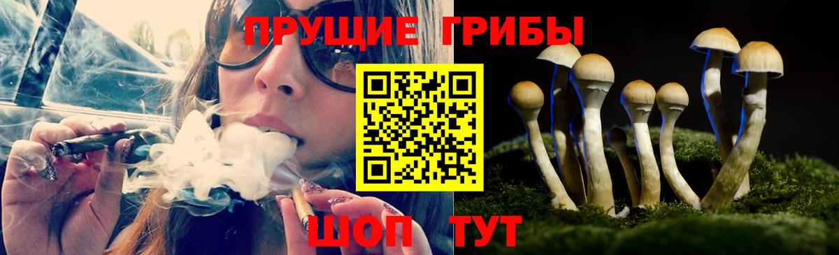 Галлюциногенные грибы GOLDEN TEACHER Белая Калитва